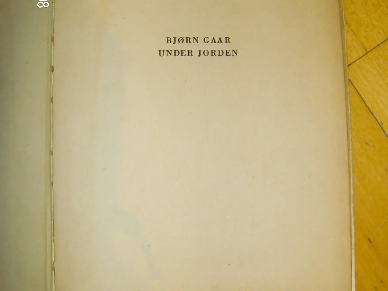 Billede 2 - Bjørn går under jorden