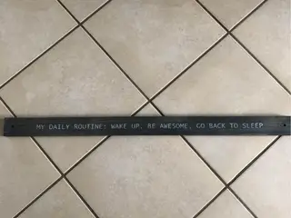 "My daily routine" - Skilt