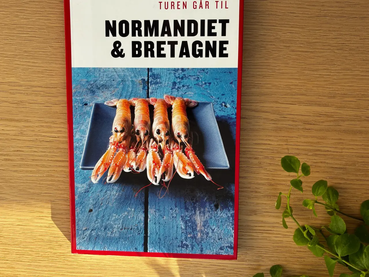 Billede 1 - Turen går til Normandiet & Bretagne