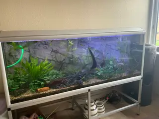 530 L akvarie med bord mm.