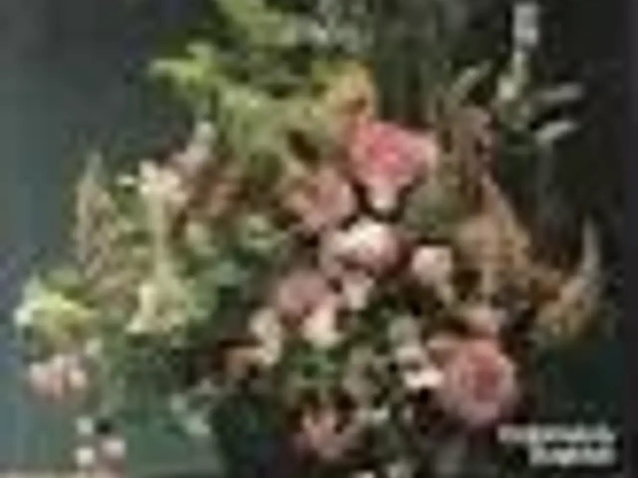 Billede 1 - Bind blomster med Bering