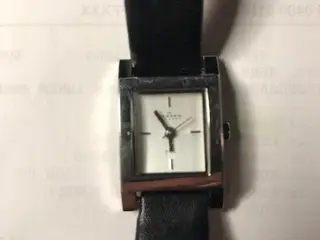 Skagen dameur