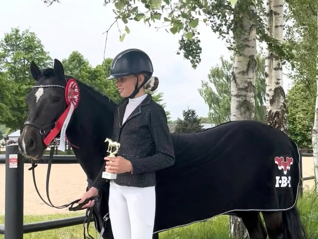 Billede 6 - Max kat 3,super børnepony