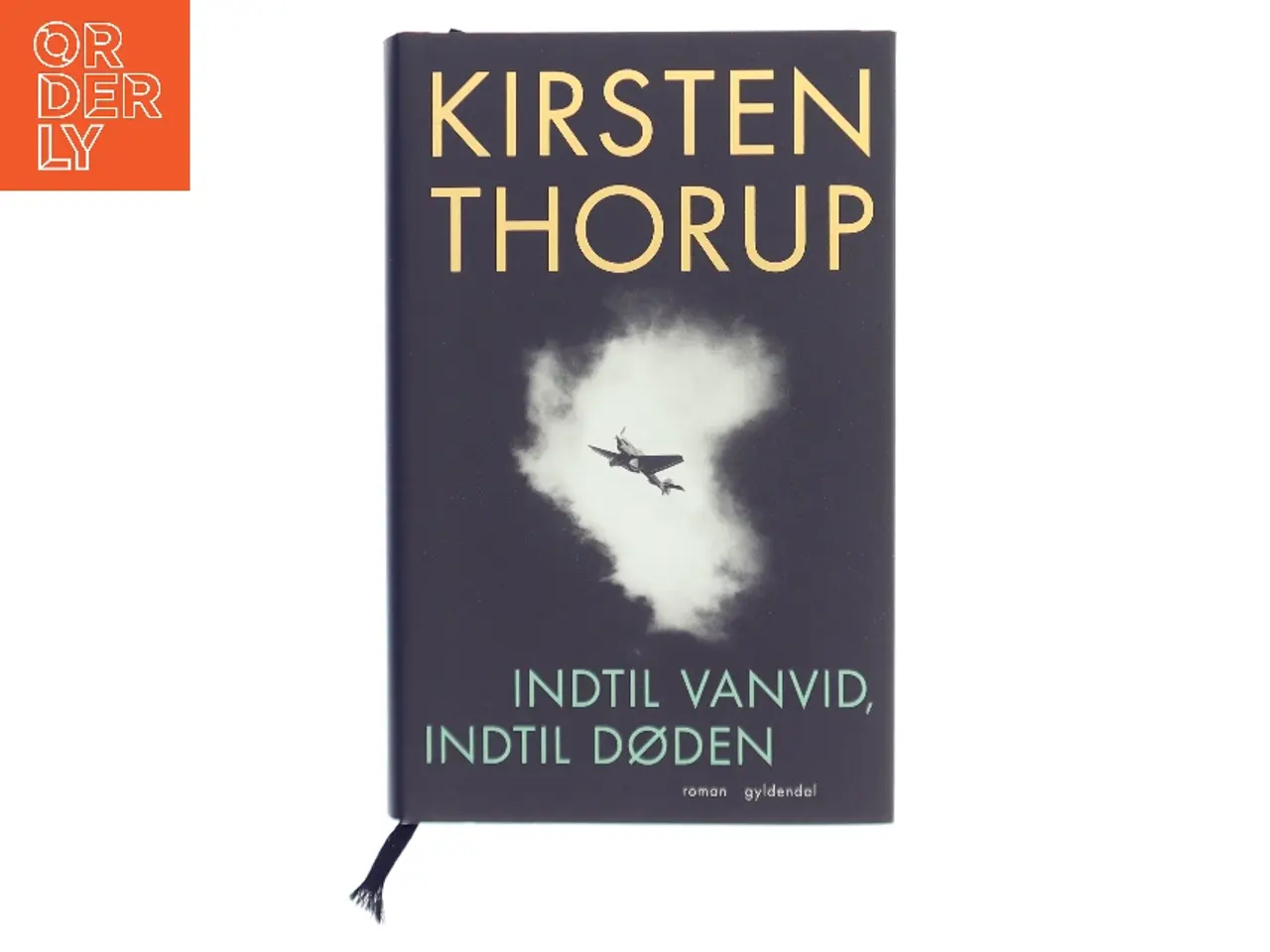 Billede 1 - Indtil vanvid, indtil døden : roman af Kirsten Thorup (Bog)