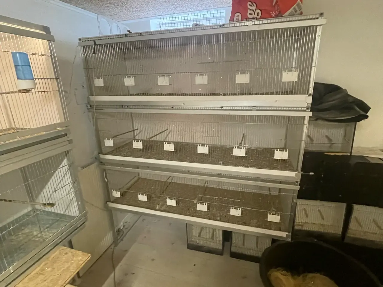 Billede 1 - Kasseburer