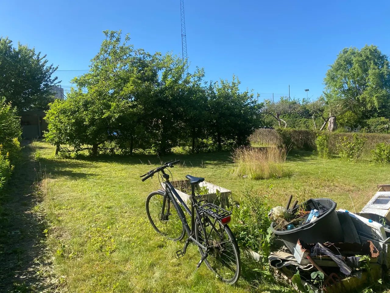 Billede 3 - Kolonihave Odense C