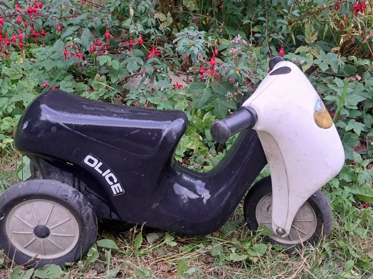 Billede 3 - Scooter 