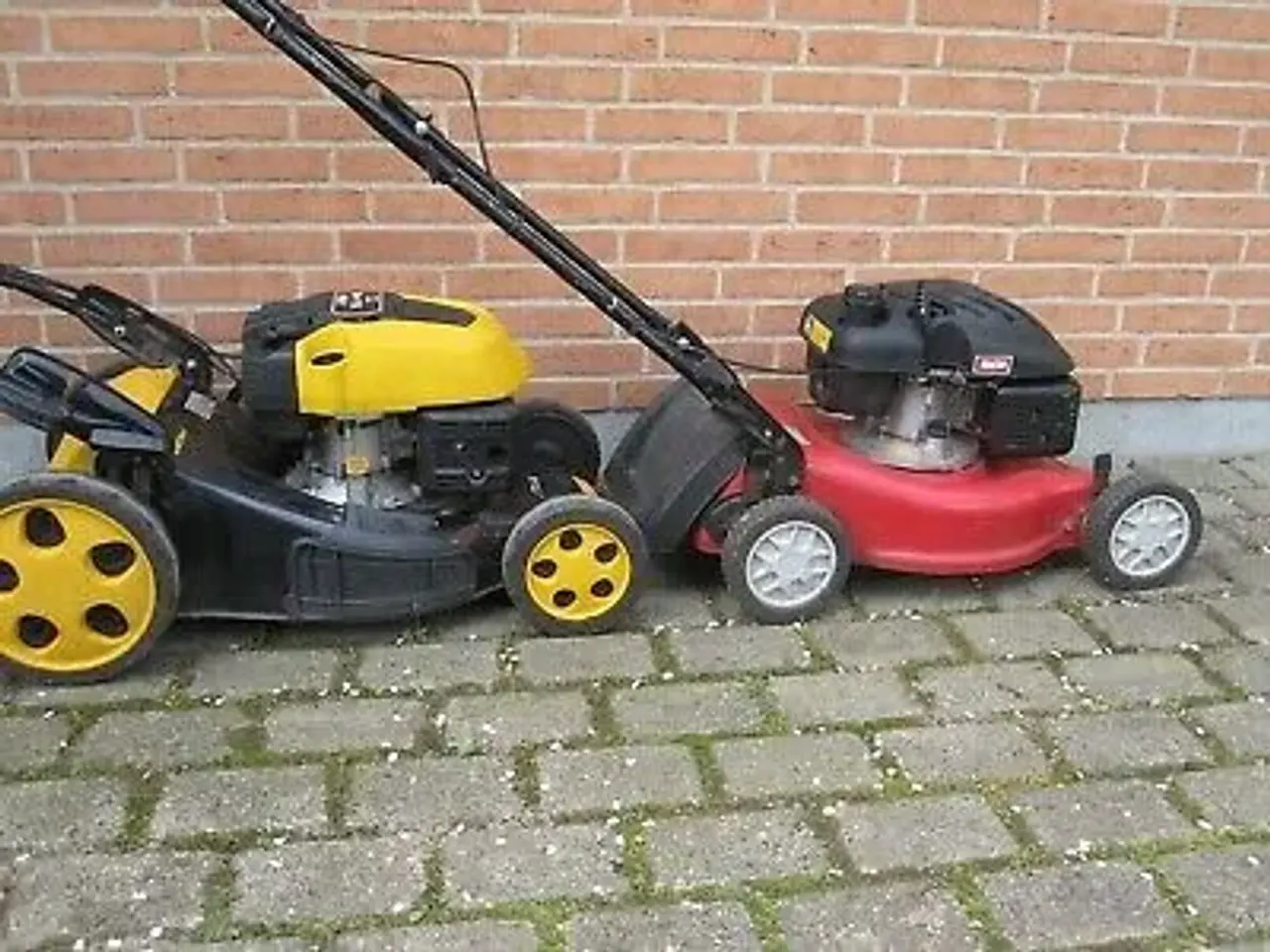 Billede 1 - Defekte motorplæneklippere købes til renovering