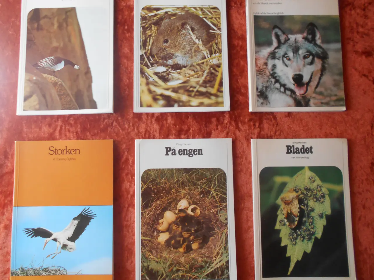 Billede 1 - Storken m.fl, Tommy Dybbro m.fl,