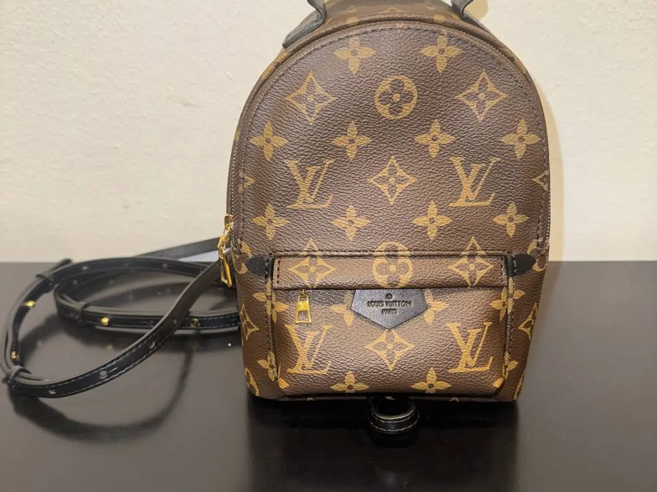 Billede 1 - Louis Vuitton Palm Springs Mini til salg