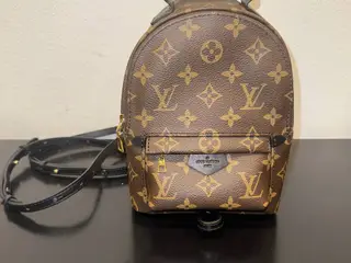 Louis Vuitton Palm Springs Mini til salg