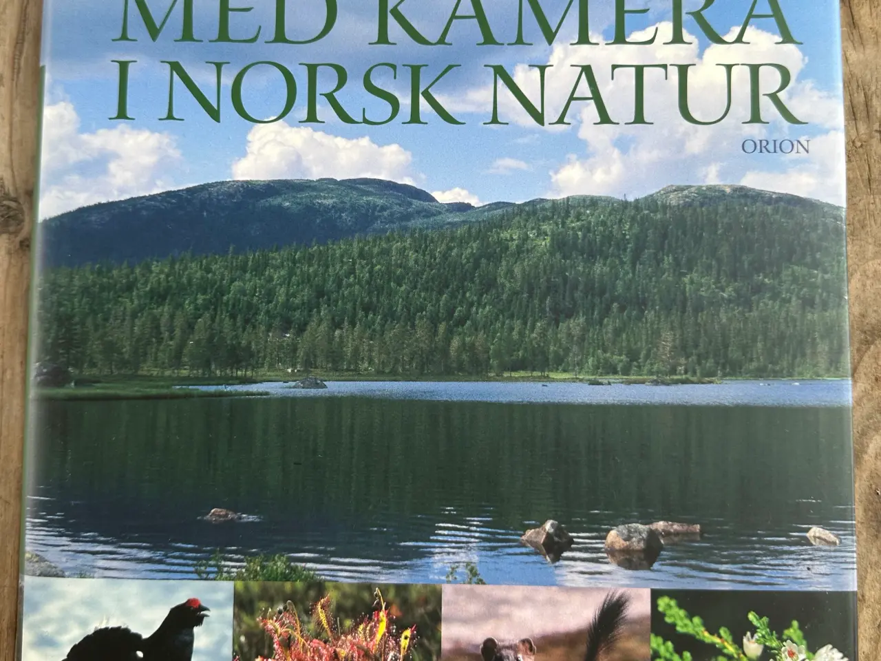 Billede 1 - Med Kamera i Norsk Natur – Nils Viker – Norsk