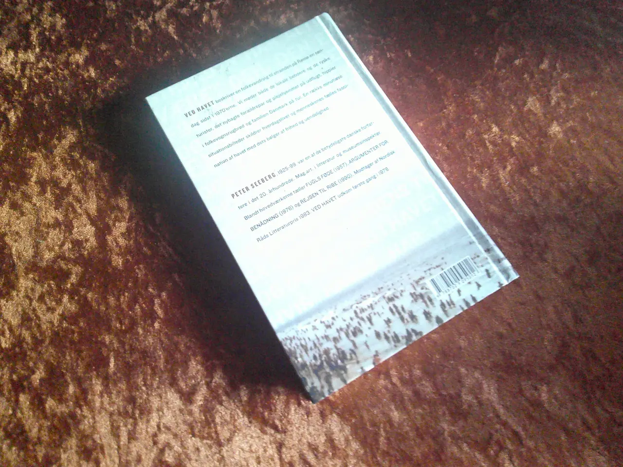 Billede 2 - Ved havet, Peter Seeberg