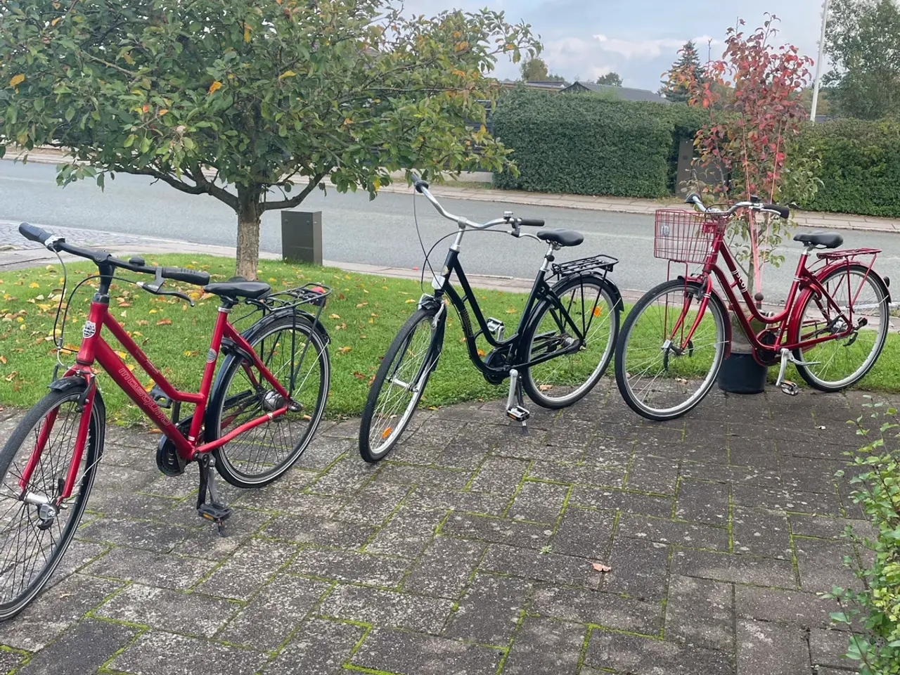 Billede 1 - Dame cykler 