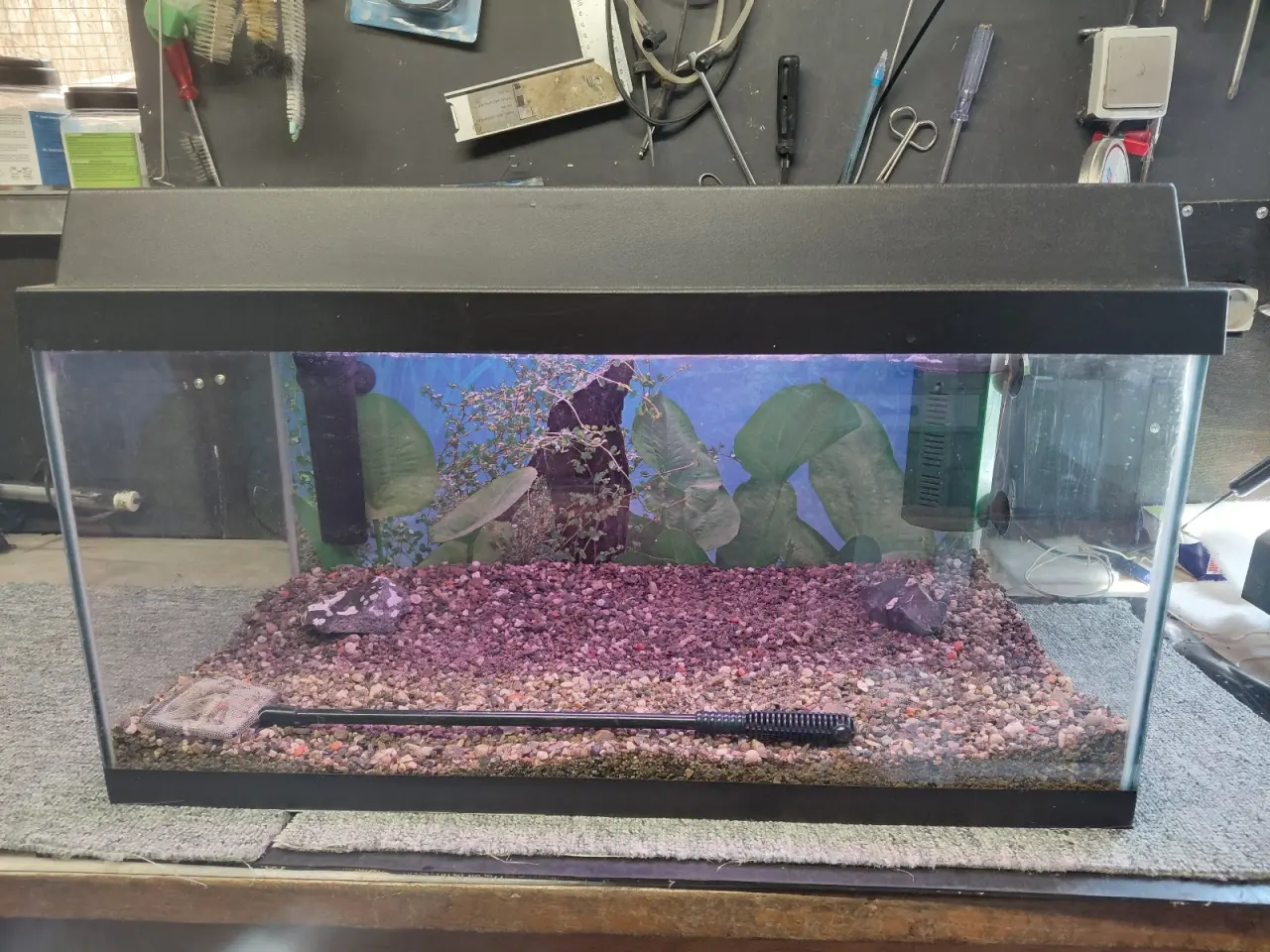 Billede 1 - Akvarier 54L 