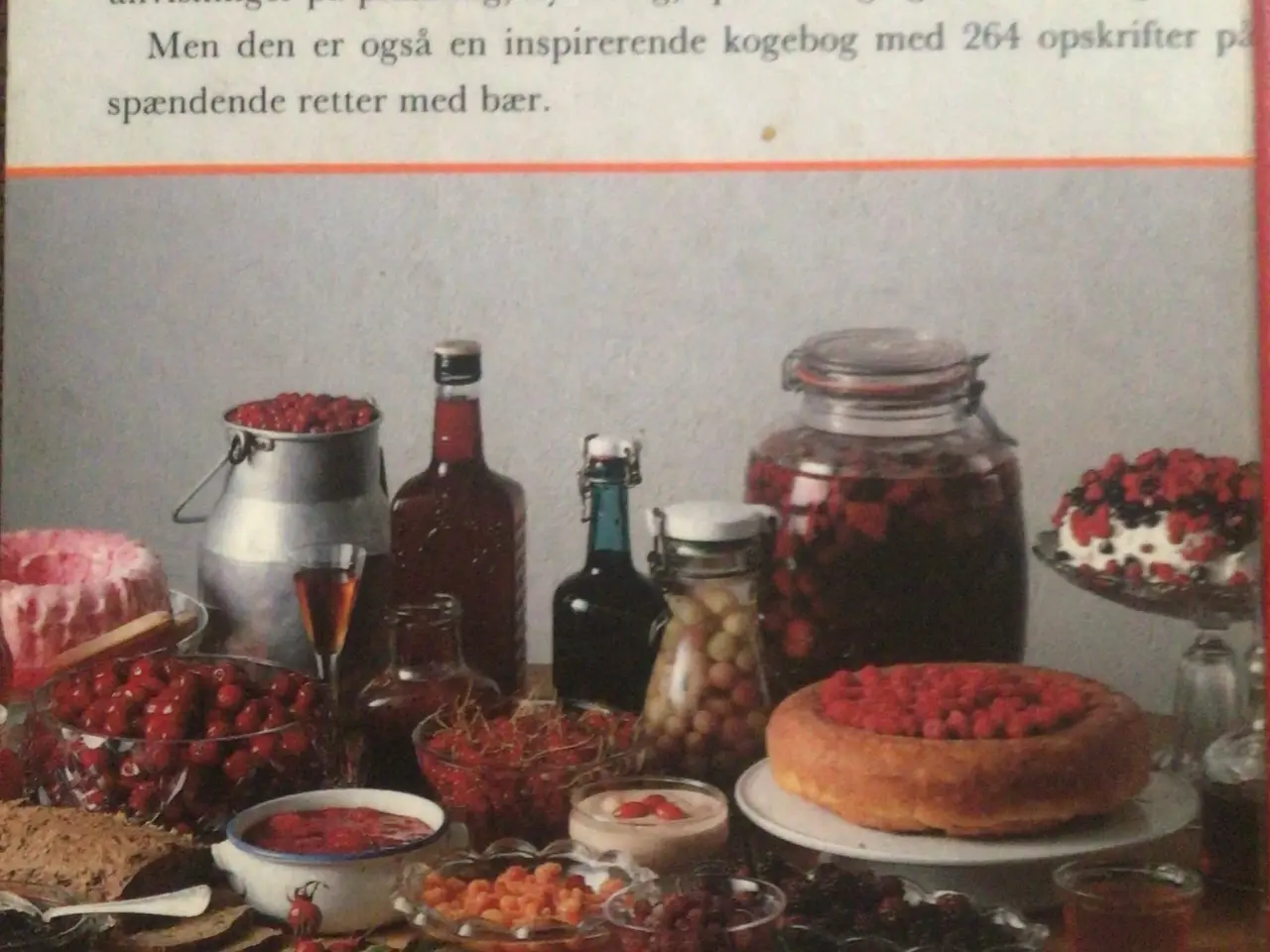 Billede 2 - Den Store Bærbog