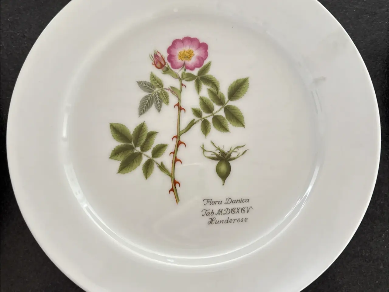 Billede 7 - Flora Danica/Faxe platter sælges