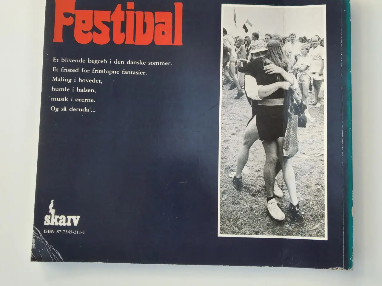 Billede 2 - Festival - en fotografisk fortælling.