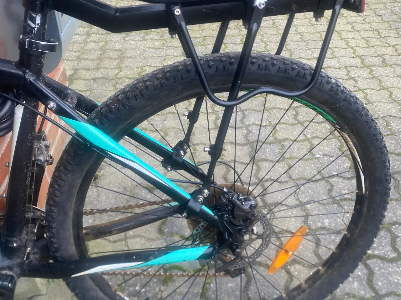 Billede 2 - Scott aspect 
