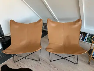 Flagermus stole