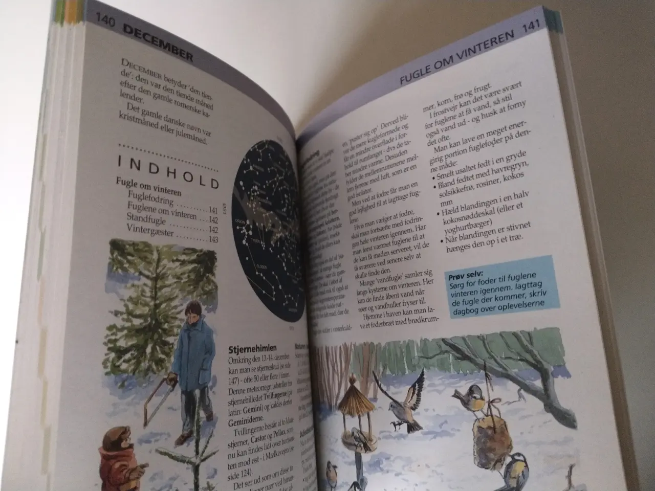 Billede 3 - Nu skal vi ud - årets gang i naturen