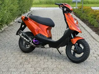 PGO Hot50