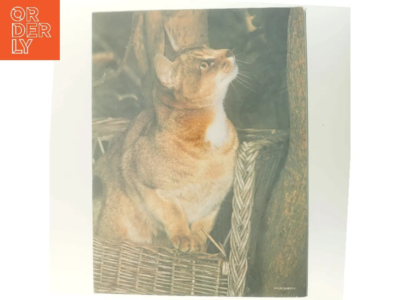 Billede 3 - Fra dyrenes verden Katte af Ukendt (Bog)