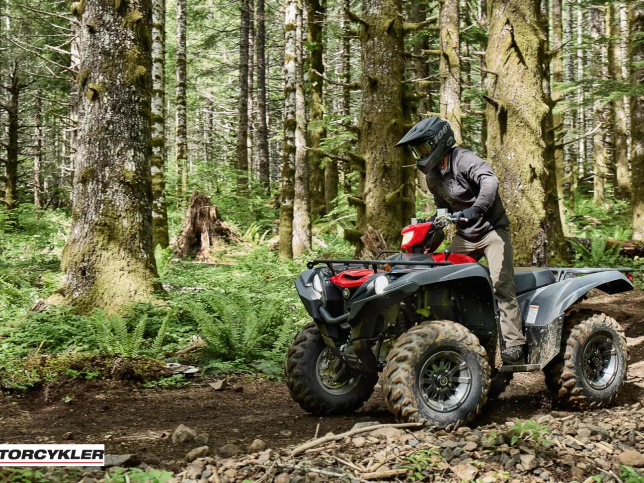 Billede 8 - Yamaha Grizzly 700 EPS Traktor