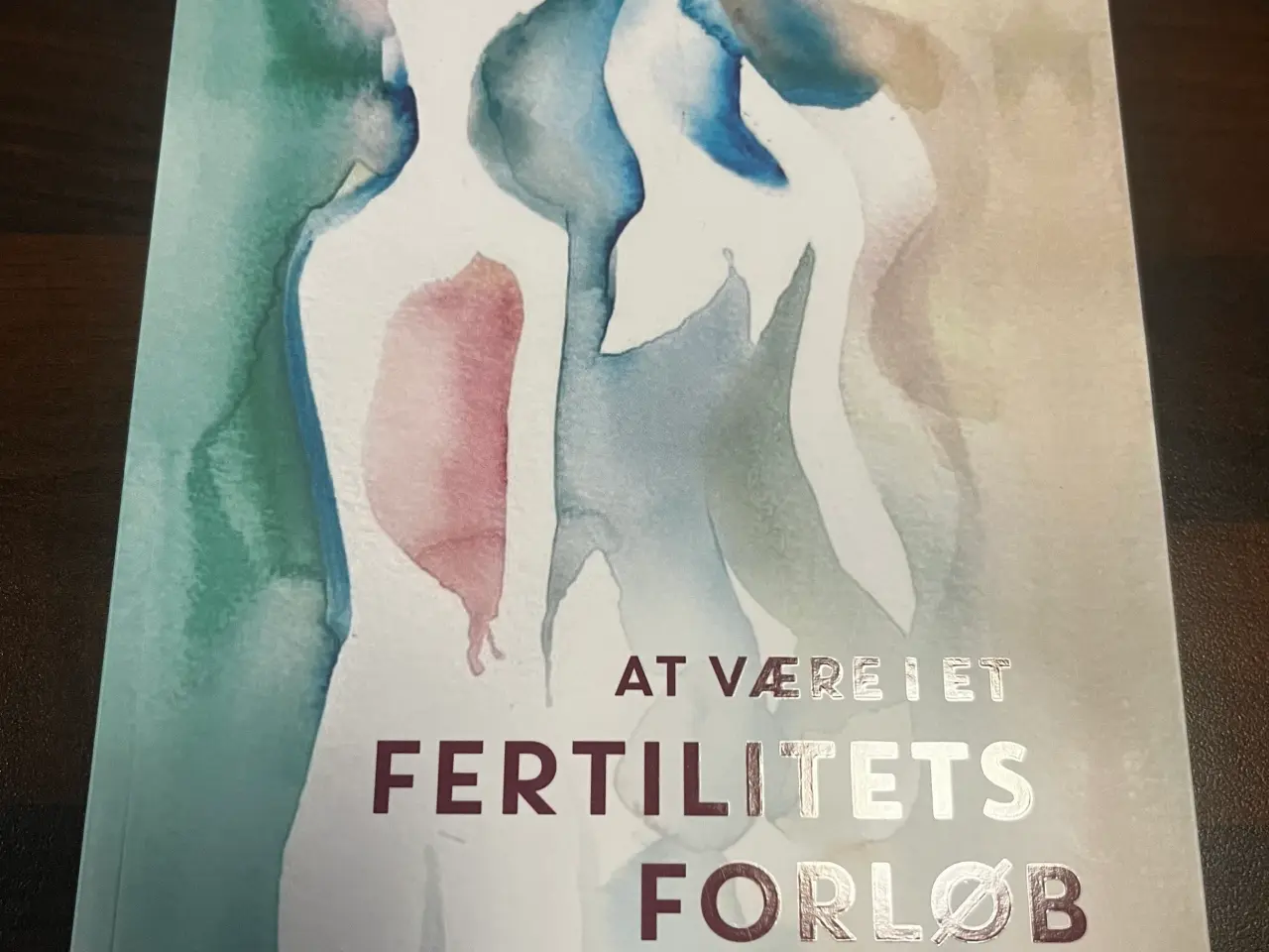 Billede 1 - At være i et fertilitetsforløb 