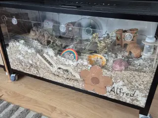 Bucatstate 2.0 hamsterbur