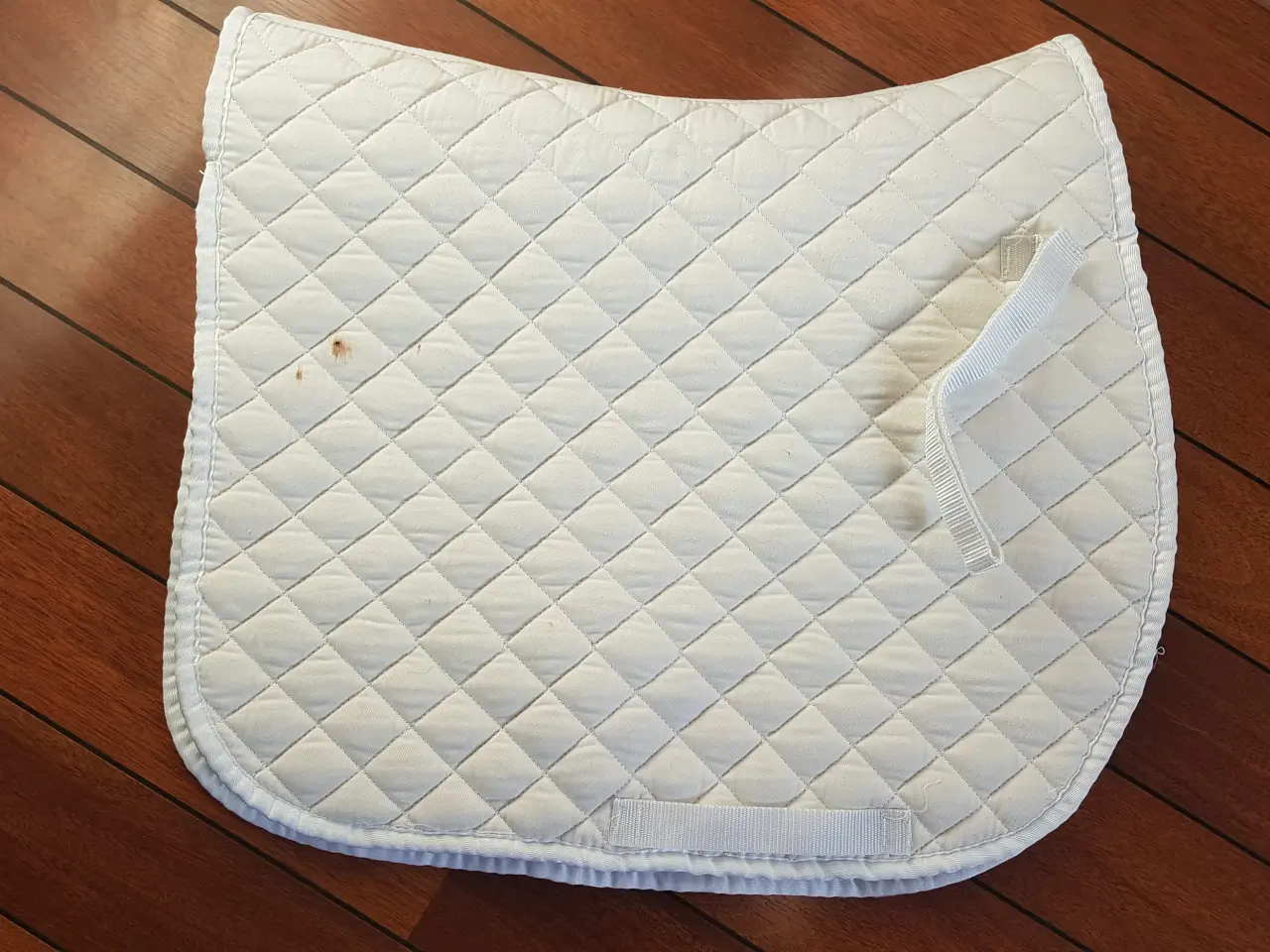 Billede 2 - Dressur underlag pony