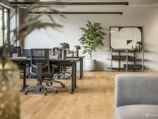 Lyse og lækre 1.035 m² i gennemrenoveret ejendom centralt på Nørrebro