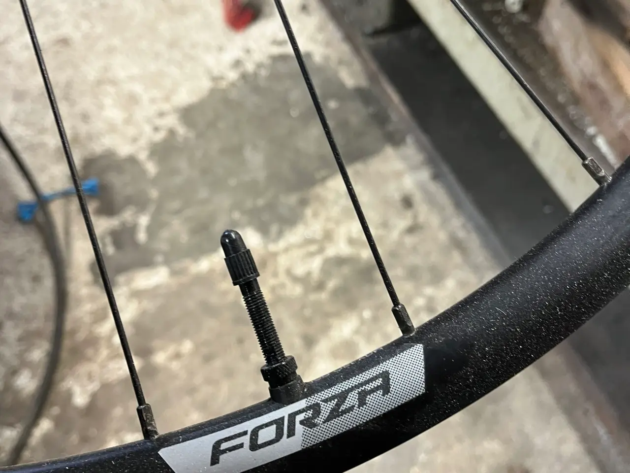 Billede 2 - Forza