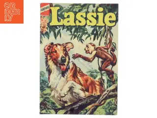 Lassie af Ukendt (Bog)