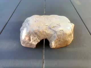 Naturtro reptilhule