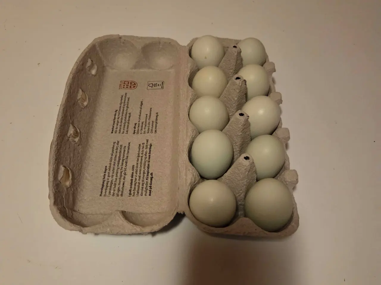 Billede 2 - Creme lecb rugeæg 