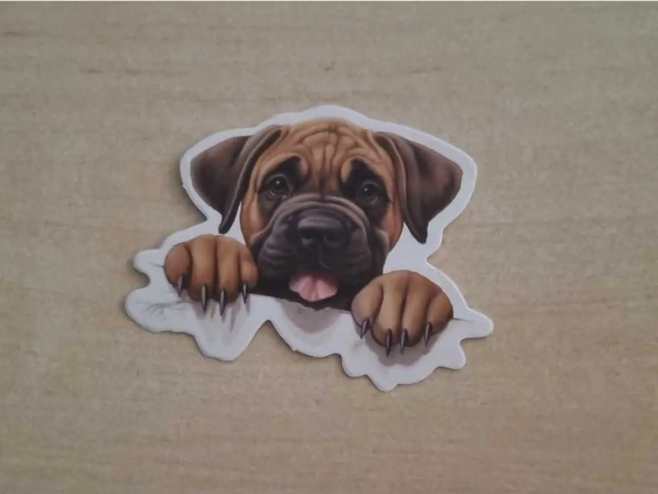 Billede 1 - Stickers
