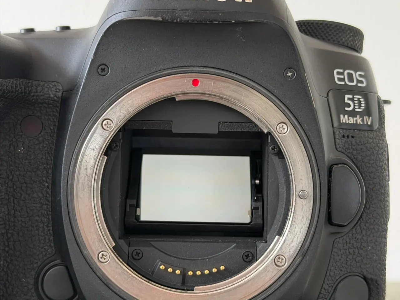 Billede 5 - Canon 5D Mark IV + Canon zoom lens
