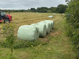 Wrap rundballer hø.