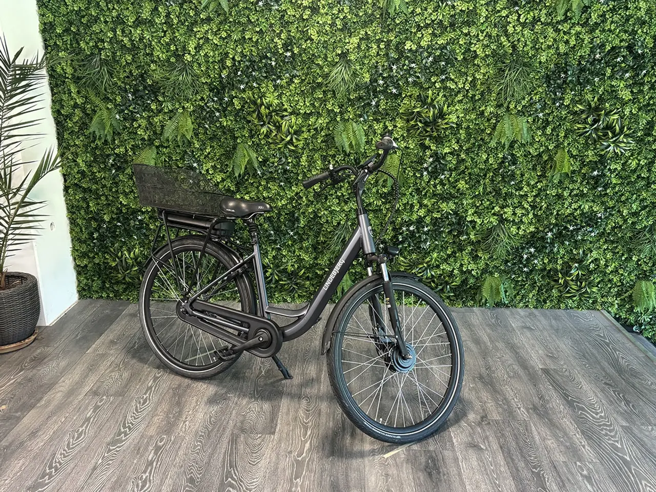Billede 1 - Front Lux 2.0 - 51cm