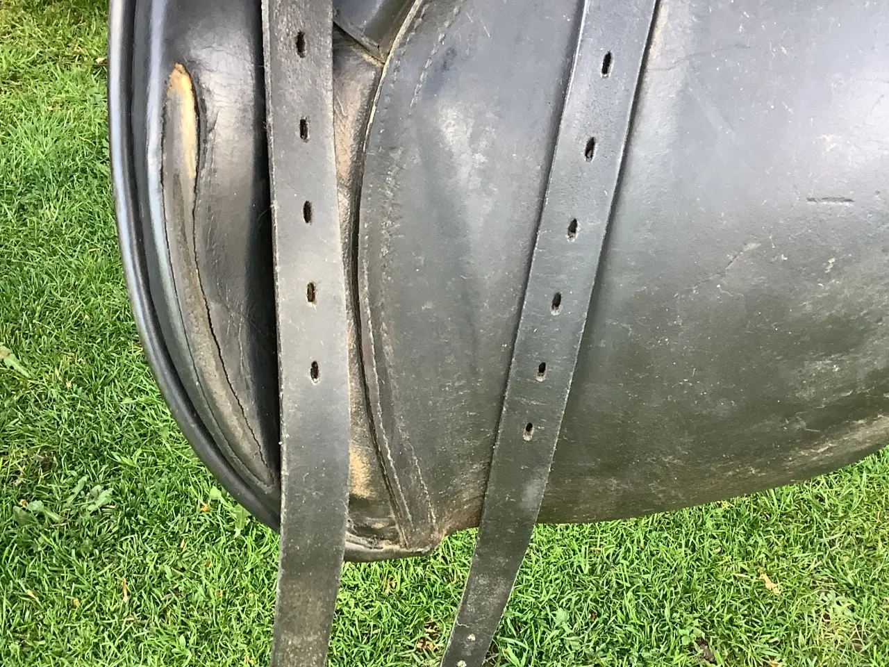 Billede 6 - Passier dr. Sadel 17”