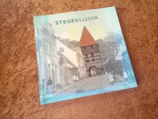 Stegebilleder,  Marianne Rimmen Raasted m. fl