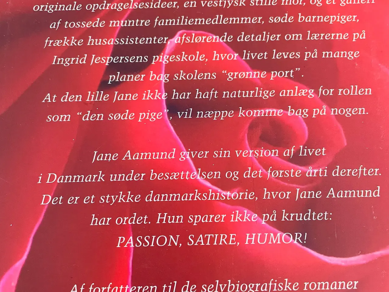 Billede 8 - Den grønne port - Jane Aamund