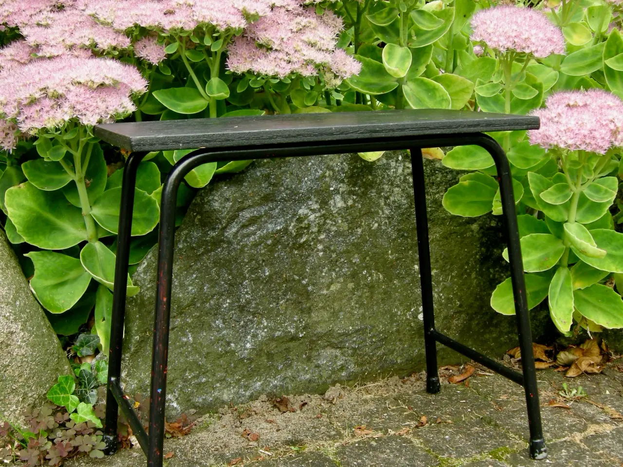 Billede 3 - SKAMMEL - Blomsterskammel - Drivhusskammel