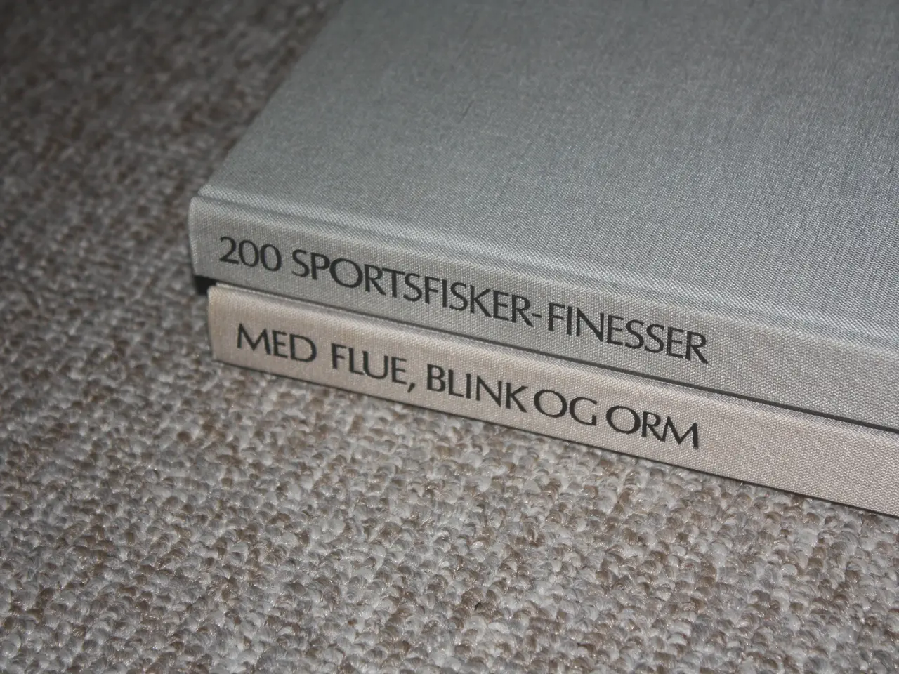 Billede 2 - Med flue, blink og orm af Ekkehard Wiederholz