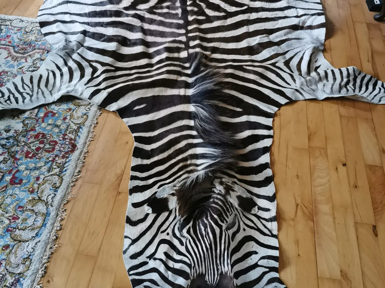 Billede 2 - zebra skind