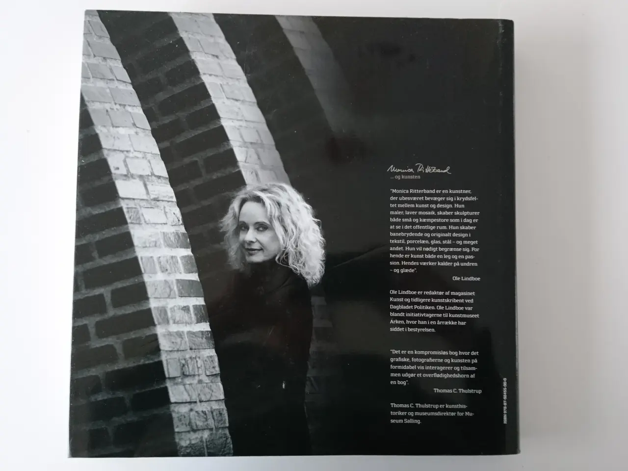 Billede 2 - Monica Ritterband og kunsten. Af Monica Ritterband