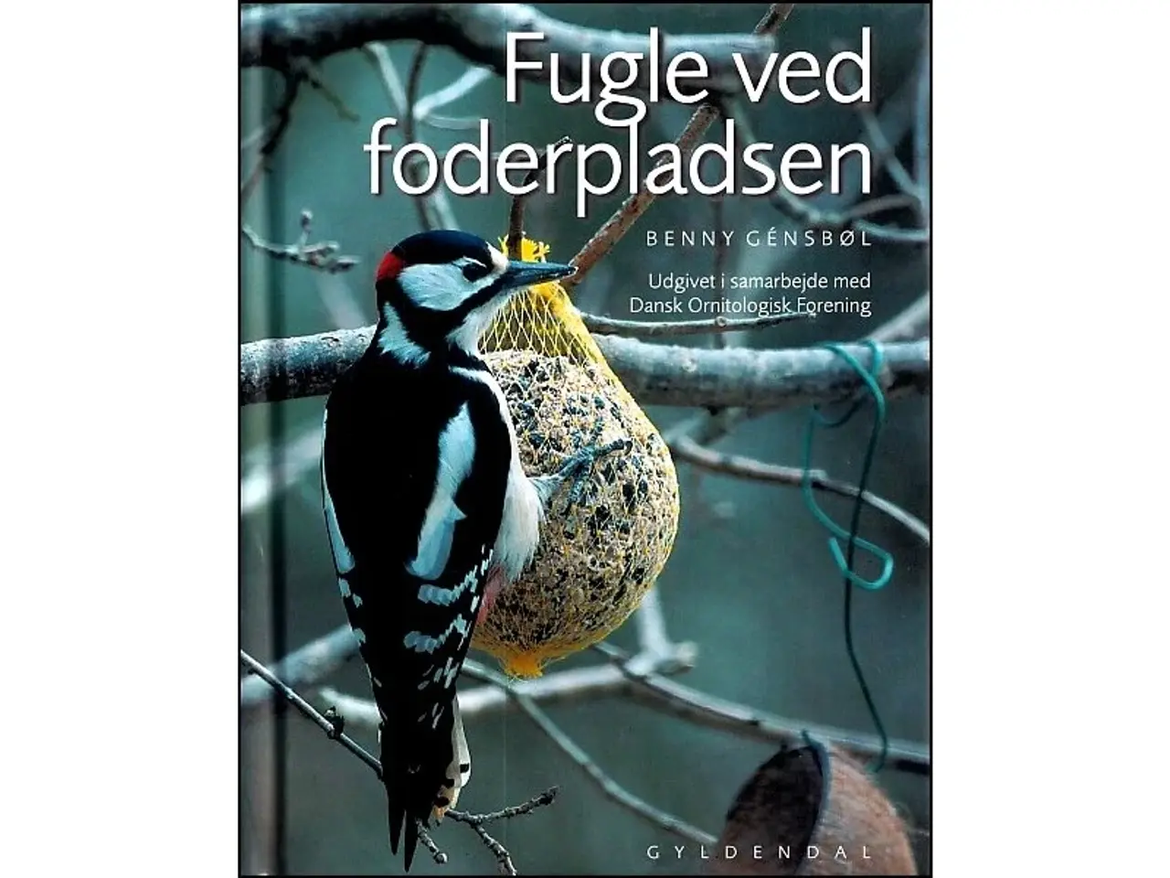Billede 13 - Fugle - 14 Bøger fra 40 kr.