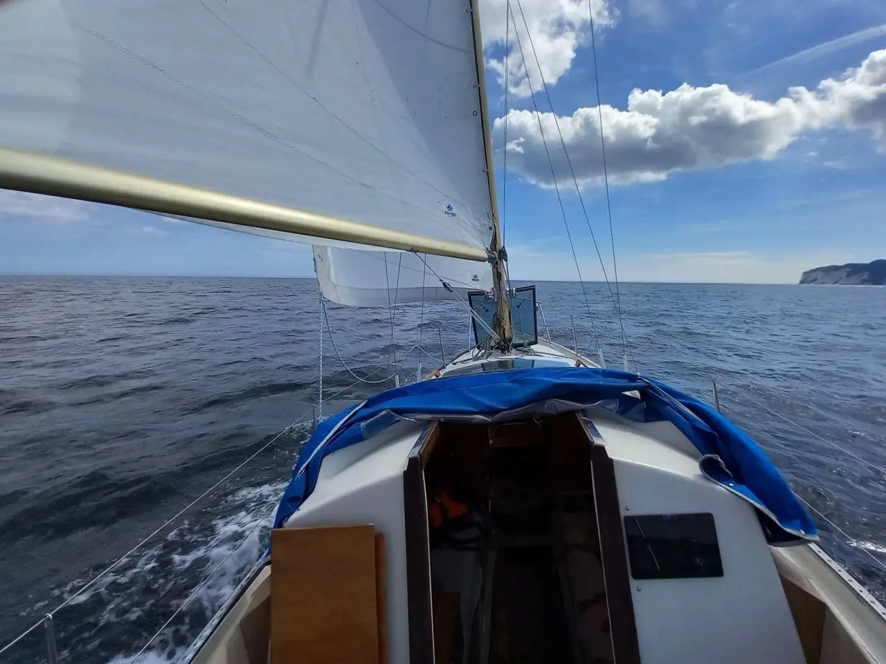 Billede 10 - Bianca 27 - ny Yanmar 3 cylindret - nyere sejl.