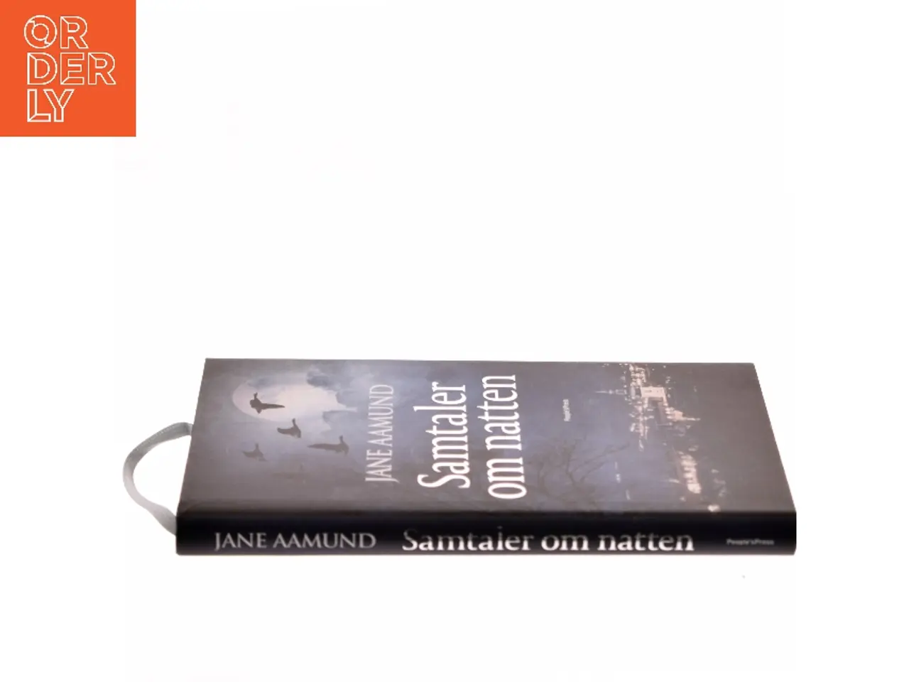 Billede 2 - Samtaler om natten af Jane Aamund (Bog)